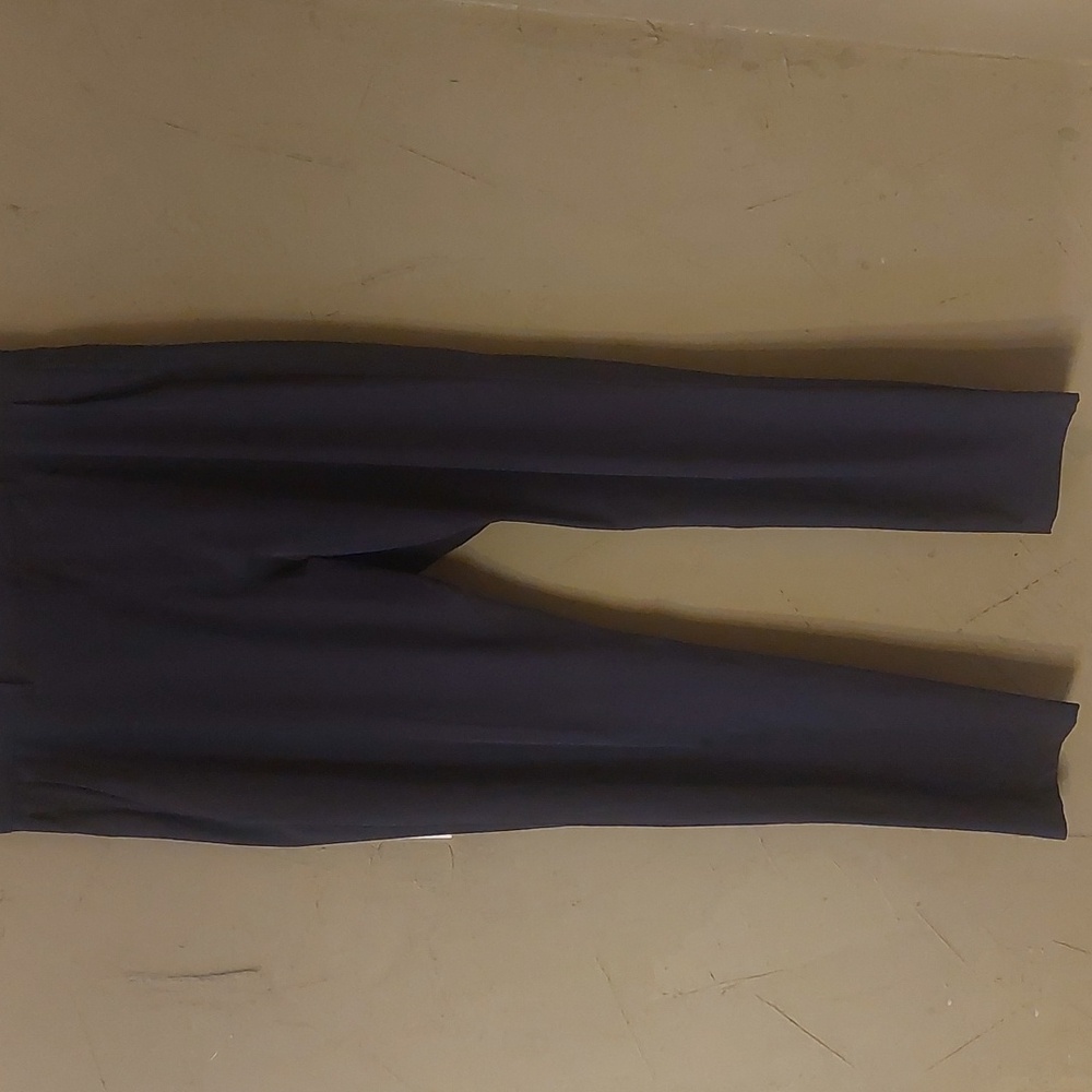 Fabletics Mens Pants